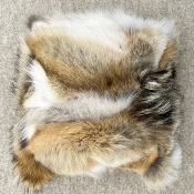 Coussin en Peau de Coyote