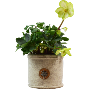 Cache Pot de Fleurs en Feutre de Laine