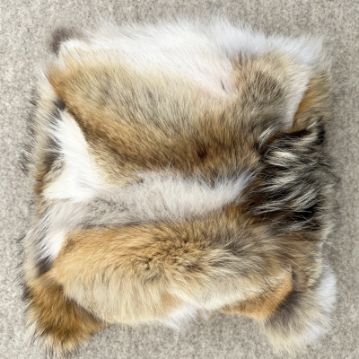 Coussin en Peau de Coyote